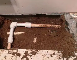 浔阳测漏水哪家好