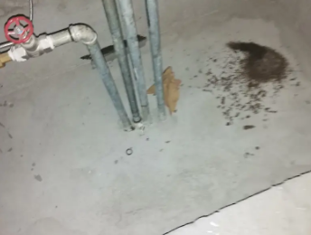 浔阳卫生间测漏水价格明细