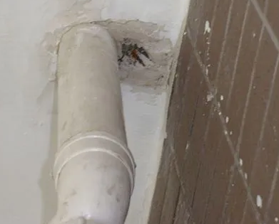 浔阳漏水检测哪家好